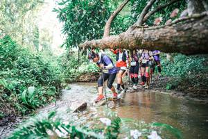 BIB: 
                            <button type="button" onclick="openModal(25516894)" class="btn btn-primary btn-sm float-right btn-popup" data-toggle="modal" data-target=".modal-high-quality">
                        <i class="fas fa-shopping-cart"></i> Add to Cart
                    </button>
                                            <button type="button" onclick="isThisMe(25516894, true)" class="btn btn-success btn-sm float-right btn-popup btn-isme hidden" data-toggle="tooltip" data-placement="bottom" title="นี่คือรูปของคุณใช่ไหม คลิกที่นี่เพื่อเอาเข้าอัลบั้ม">
                        <i class="fas fa-plus"></i> Add to album
                    </button>
                    <button type="button" onclick="isThisMe(25516894, false)" class="btn btn-warning btn-sm float-right btn-popup btn-isnotme hidden">
                        <i class="fas fa-ban"></i> Remove from album
                    </button>